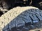 2022 Jeep Wrangler Unlimited Rubicon 392 4x4