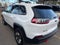 2019 Jeep Cherokee Trailhawk 4x4