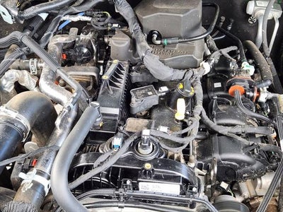 2024 Ford Bronco Everglades