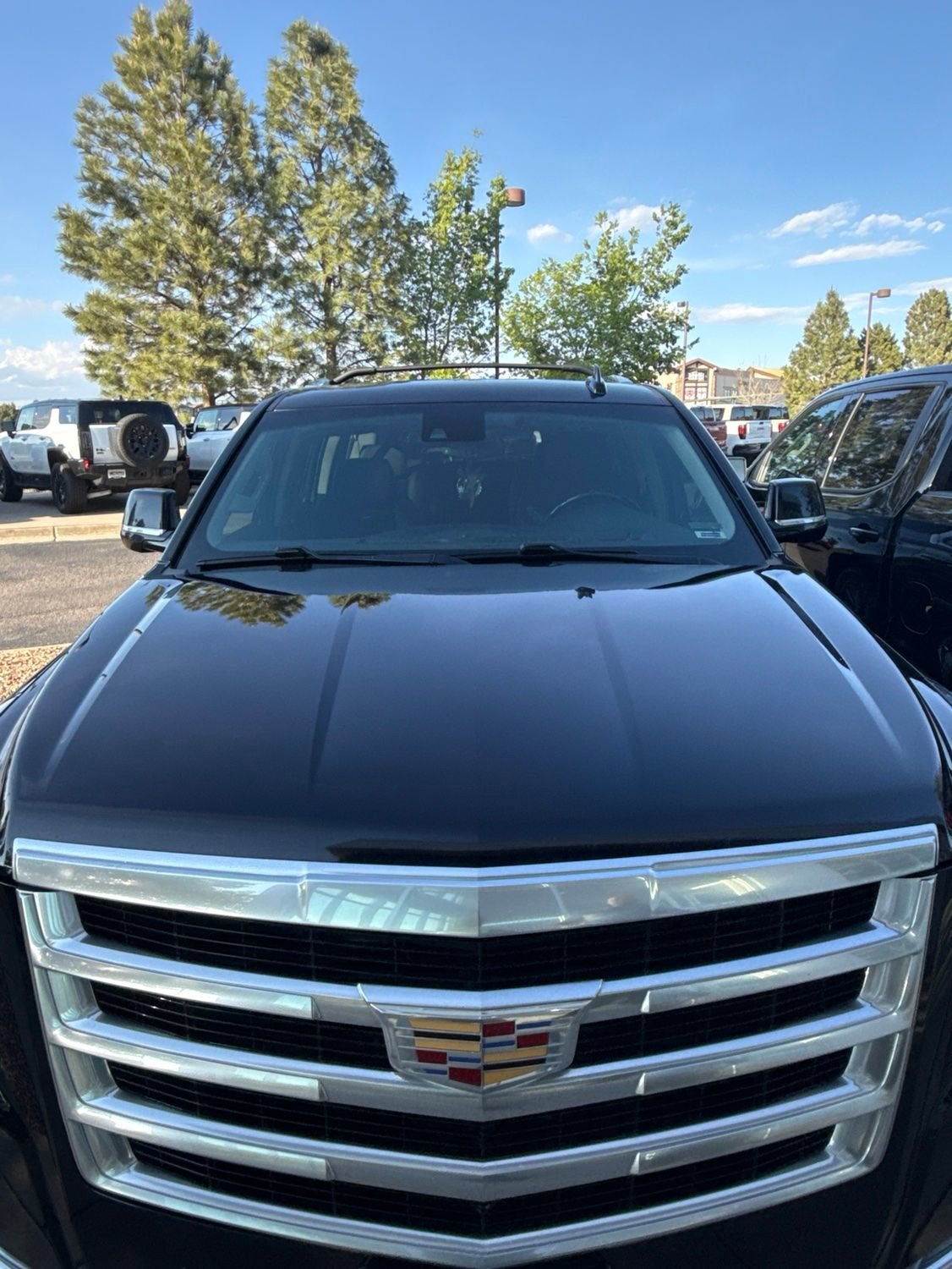 2019 Cadillac Escalade ESV AWD Premium Luxury's photo