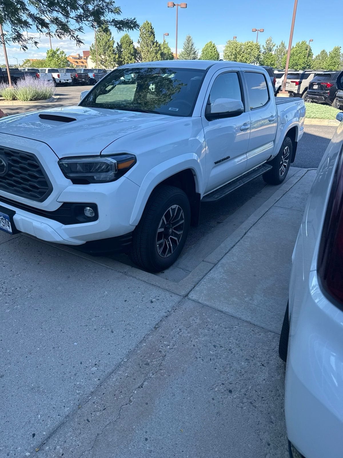 2023 Toyota Tacoma 4WD SR