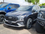 2021 Hyundai Santa Fe Calligraphy