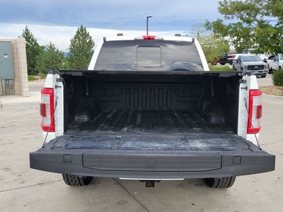 2022 Ford F-150 Platinum